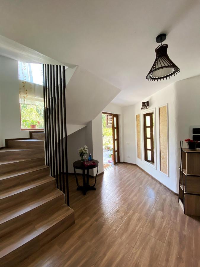 Vila Sorina Borşa Extérieur photo