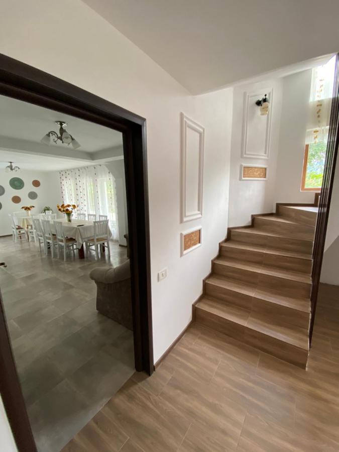 Vila Sorina Borşa Extérieur photo