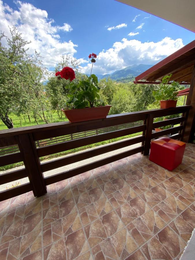 Vila Sorina Borşa Extérieur photo