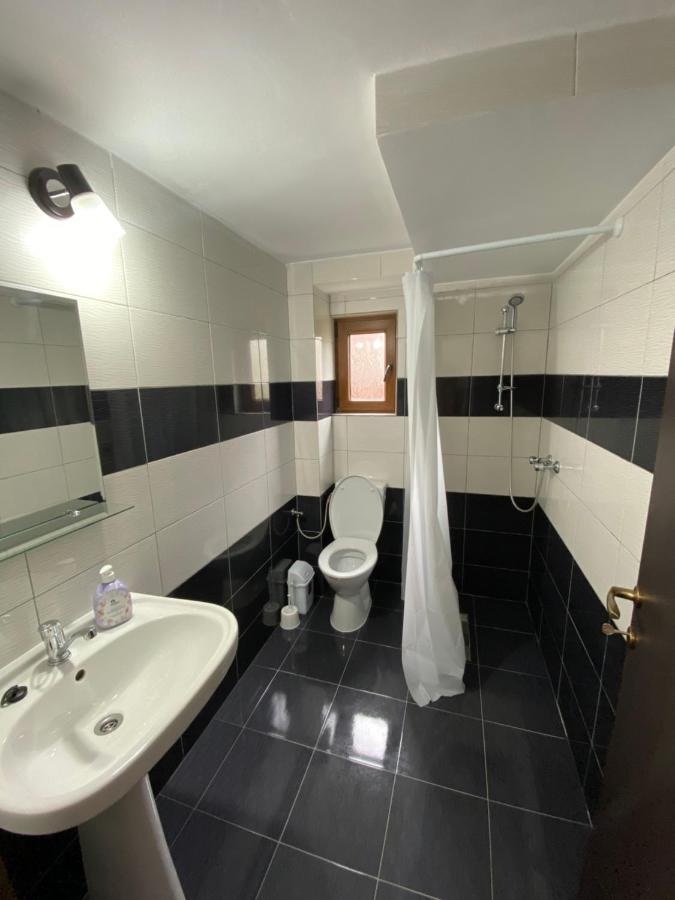 Vila Sorina Borşa Extérieur photo