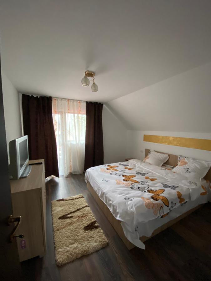 Vila Sorina Borşa Extérieur photo