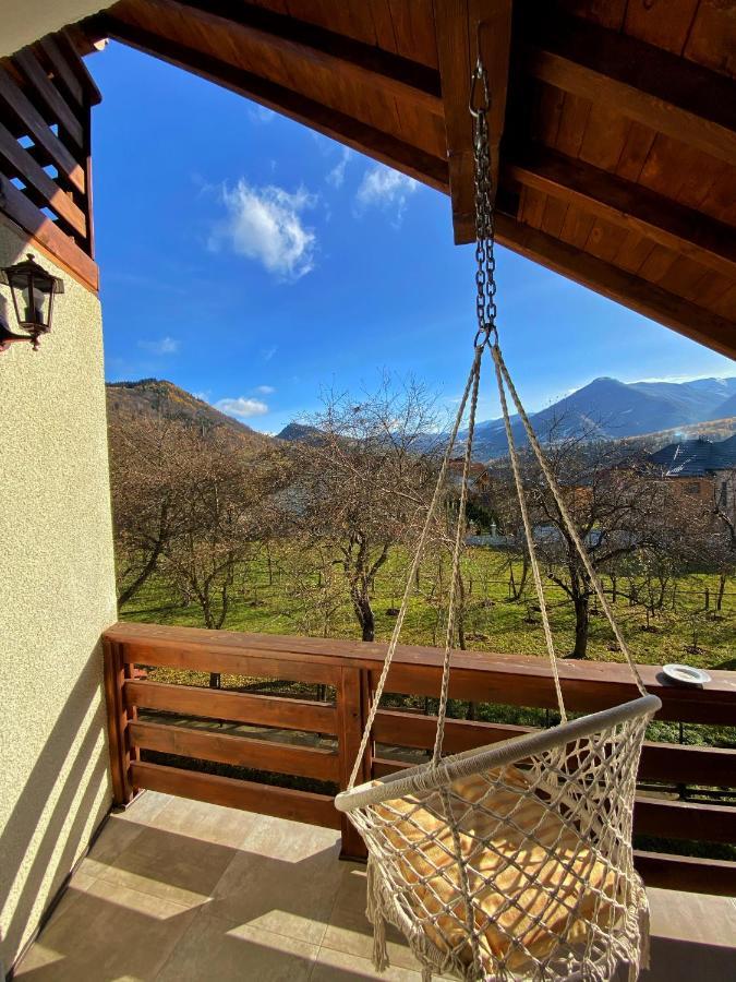Vila Sorina Borşa Extérieur photo