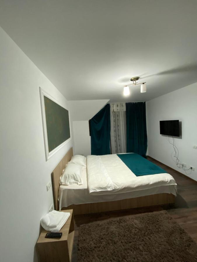 Vila Sorina Borşa Extérieur photo