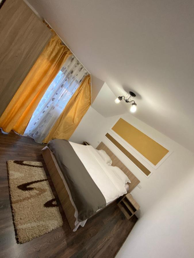 Vila Sorina Borşa Extérieur photo