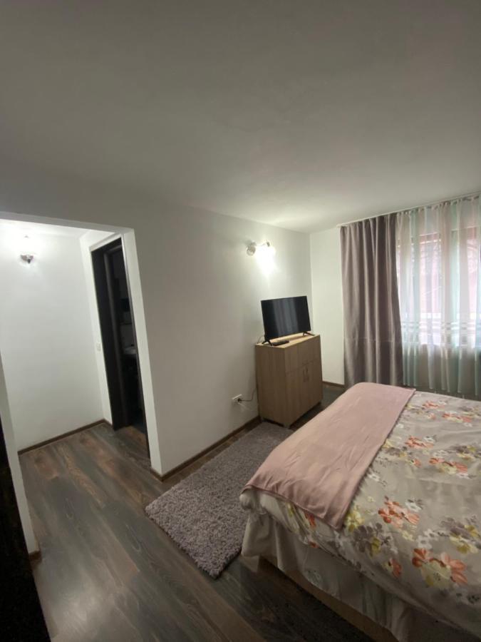 Vila Sorina Borşa Extérieur photo