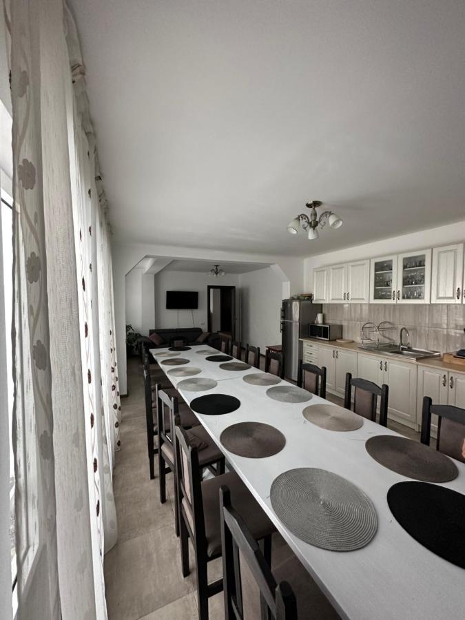 Vila Sorina Borşa Extérieur photo