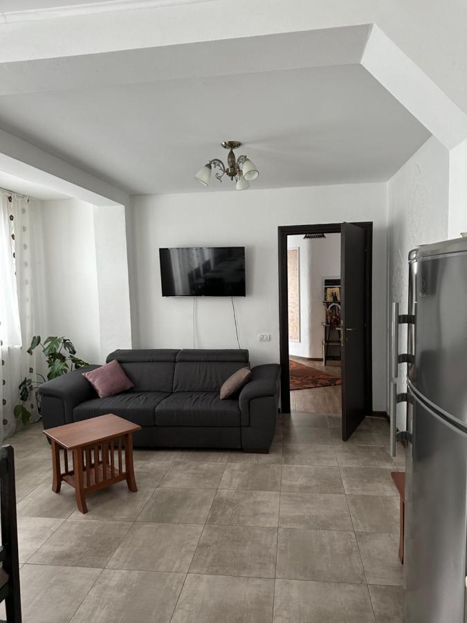 Vila Sorina Borşa Extérieur photo